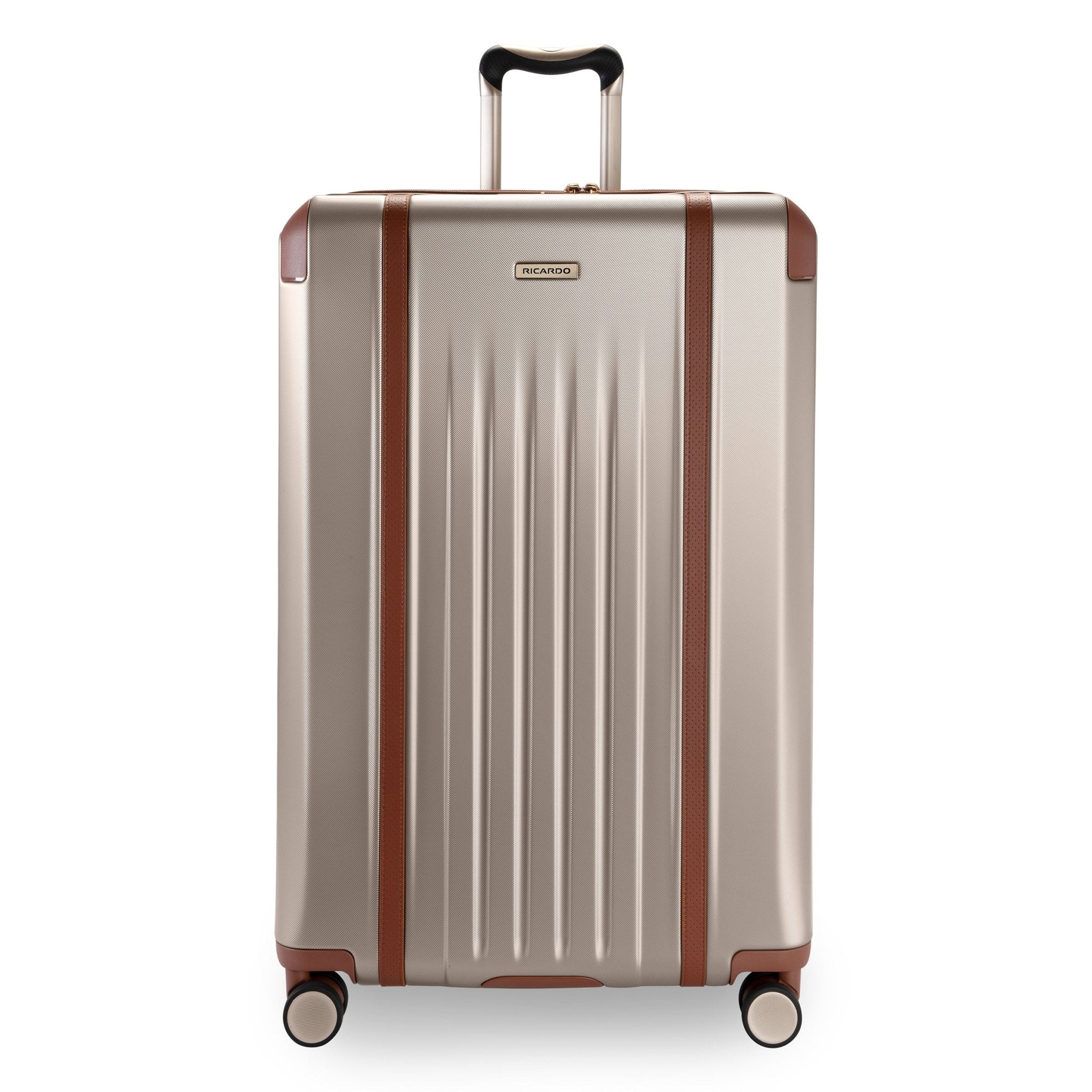 Ricardo Beverly Hills Montecito 2.0 Large 32