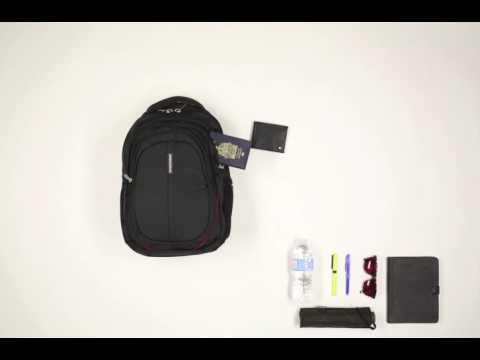 Swiss Gear Travel Backpack 2