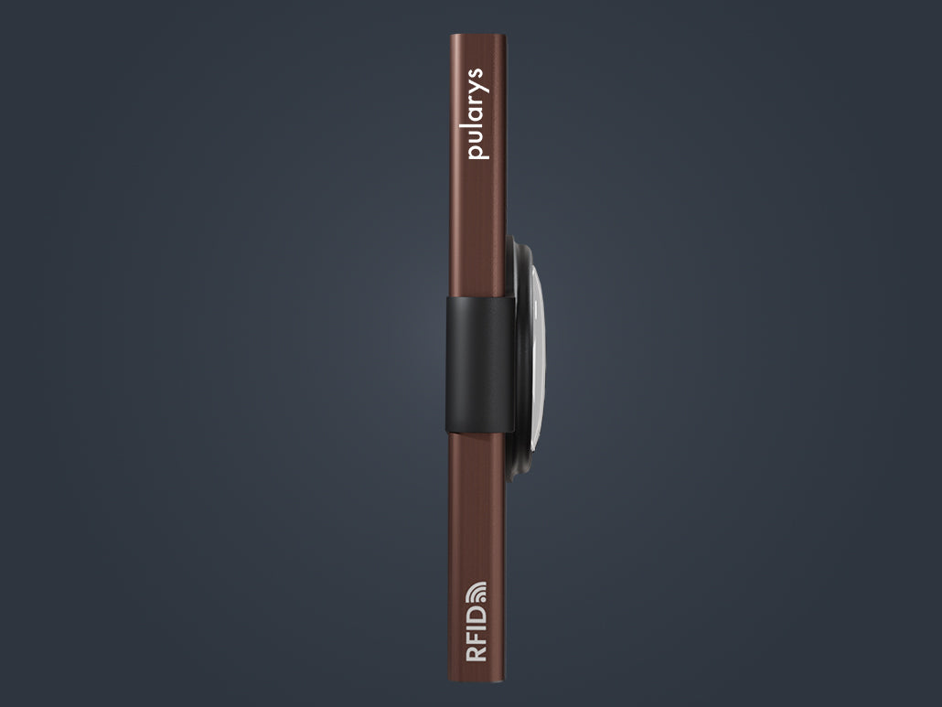 Pularys Zen Line For AirTag Brushed Aluminum Brown 3