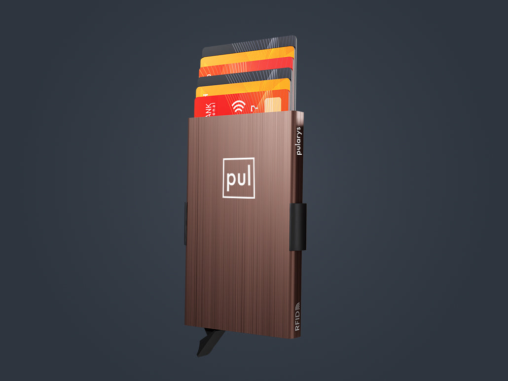 Pularys Zen Line For AirTag Brushed Aluminum Brown 4